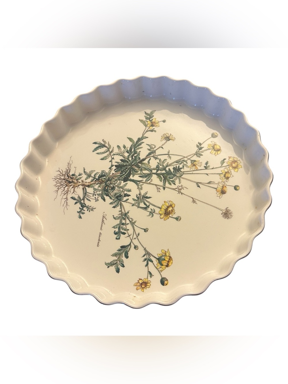 Villeroy & Boch Botanica Quiche Dish — Anthemis Tinctoria